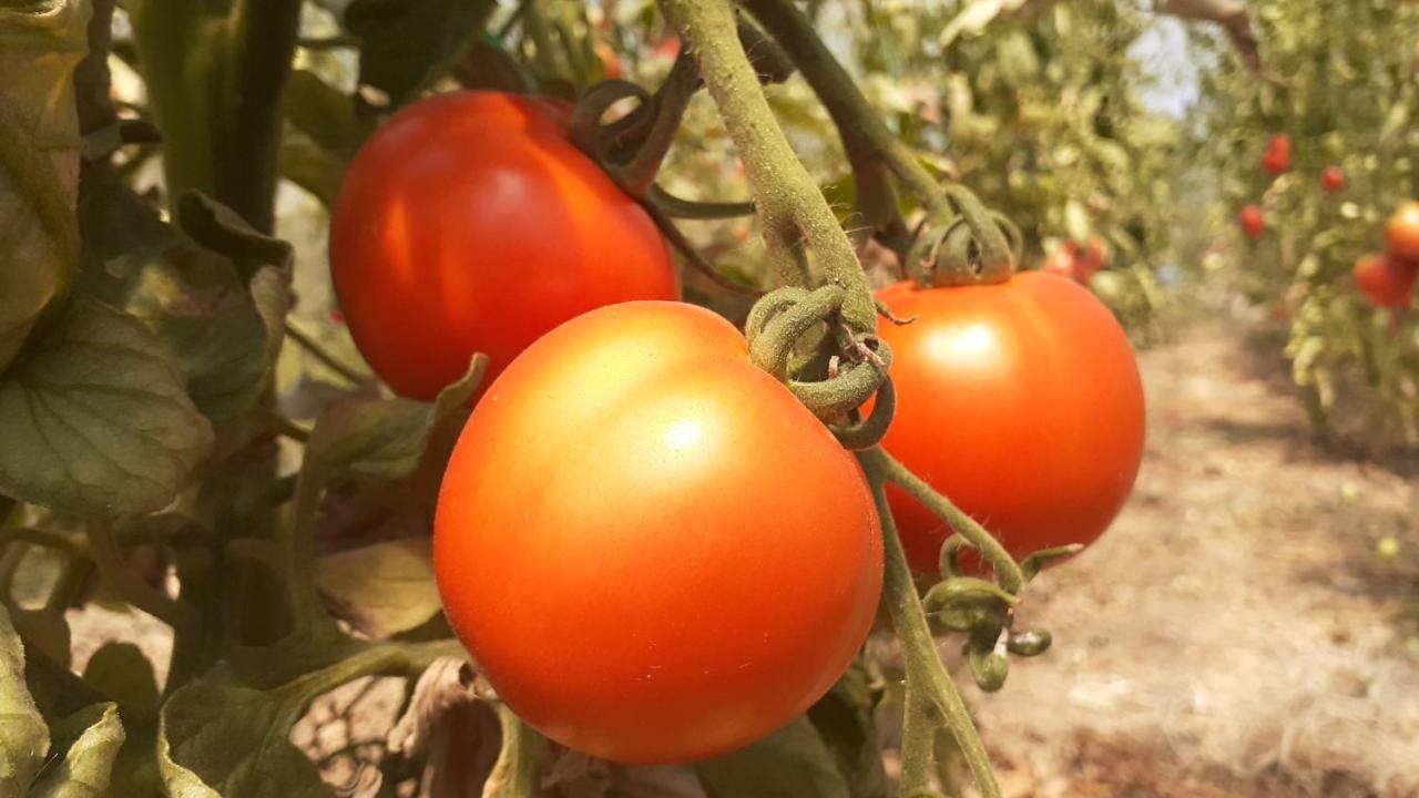 וראנג'ה Village House Moo Moo מראה חיצוני תמונה